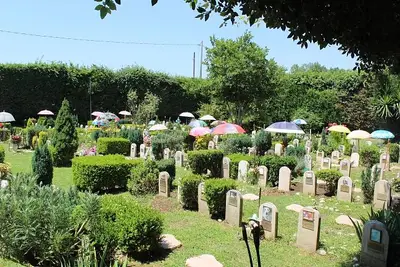 cimitero