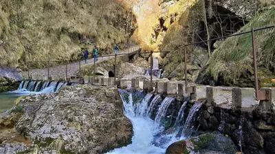 vertova