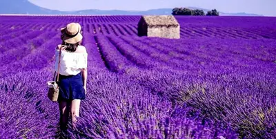 Lavanda in Italia