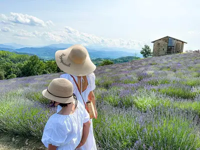 Lavanda in Italia