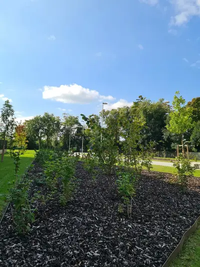 Il nuovo giardino di via Spallanzani