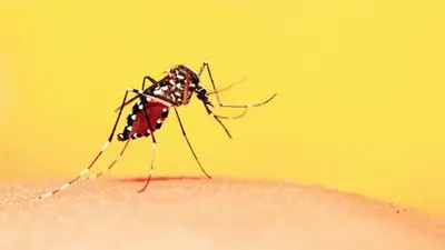 Dengue