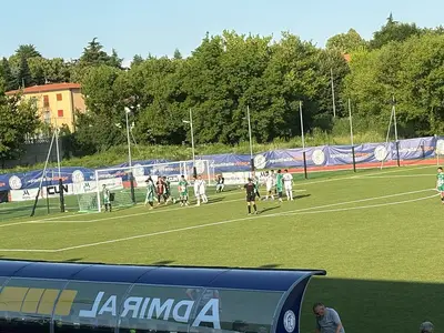 Partita conifa in corso