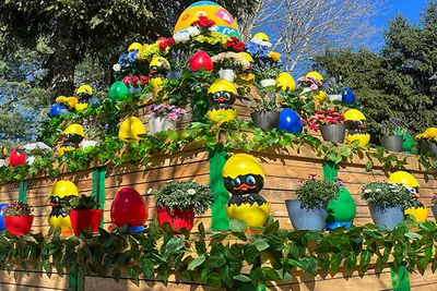 Pasqua 2025