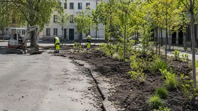 Depavimentazione a Monza