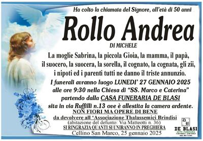 andrea rollo