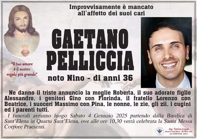 Gaetano Pelliccia