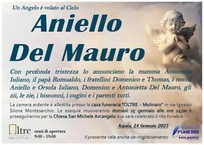 aniello del mauro
