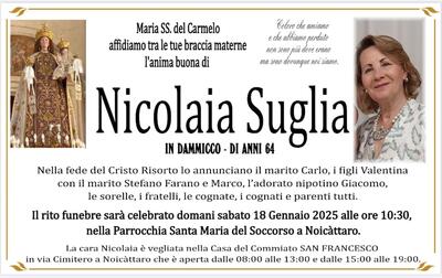 nicolaia suglia
