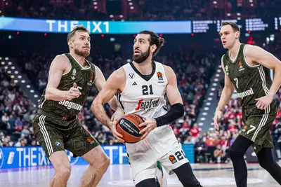 Shengelia affronta Giffey