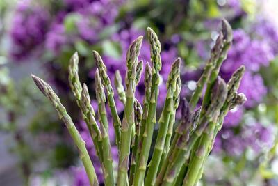 ortaggi e verdure di aprile