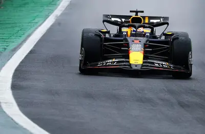 Max Verstappen, un leone a Interlagos