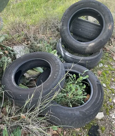 Pneumatici abbandonati