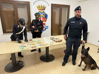 Il materiale sequestrato