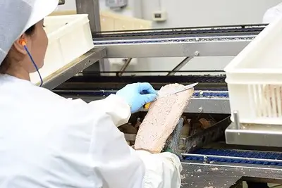 La lavorazione del tonno