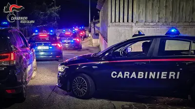 L'operazione dei carabinieri scattata all'alba