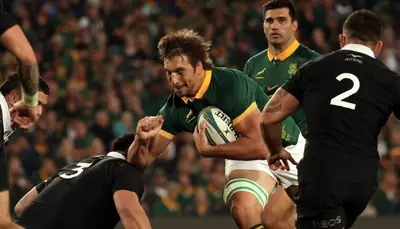 Foto Springboks