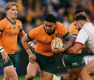 Foto Wallabies