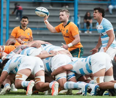 Foto Wallabies