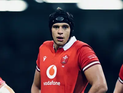 Dafydd Jenkins