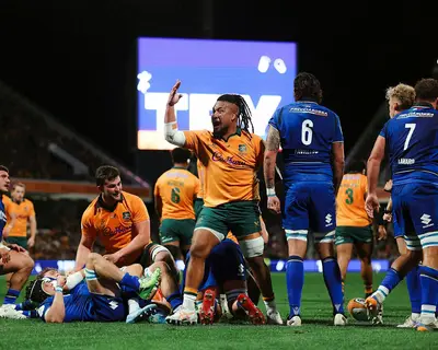 Foto Wallabies