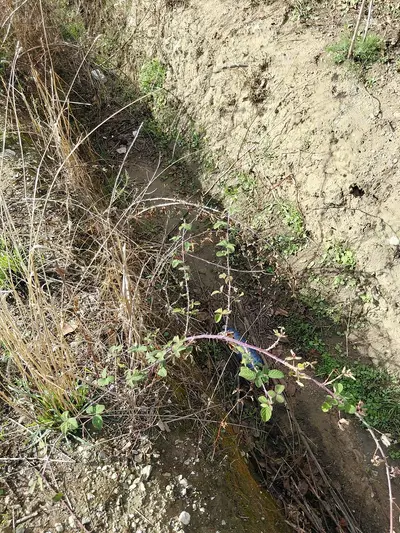 Una parte del terreno