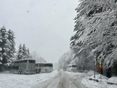 Camigliatello Silano innevato