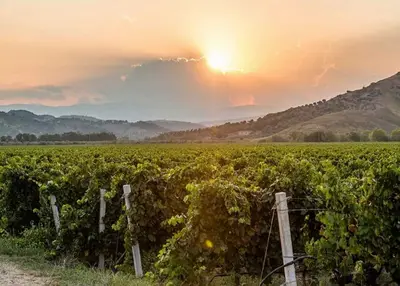 Il Merano WineFestival