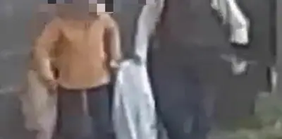 Cani chiusi in dei sacchi