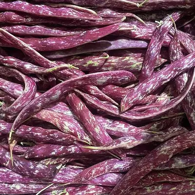 Fagioli borlotti