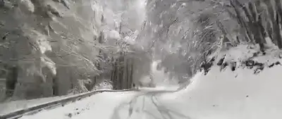 Neve in Sila