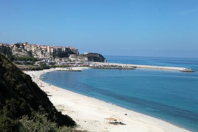 Parghelia
