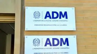 Agenzia delle Dogane