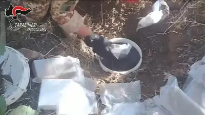 Il ritrovamento della droga