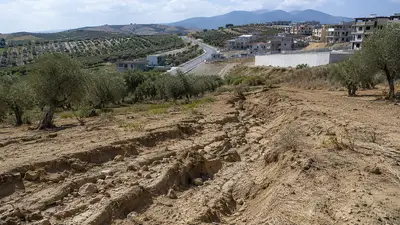 agricoltura terreno incolto
