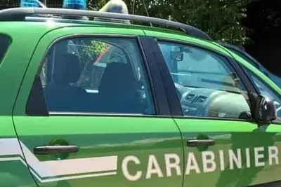 macchina Cc forestale e territoriale