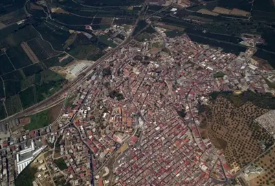 L'omicidio di Annunziata Pesce avvenne a Rosarno