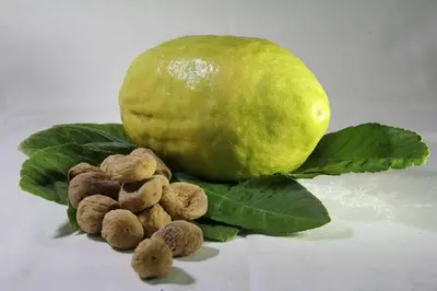 Cedro
