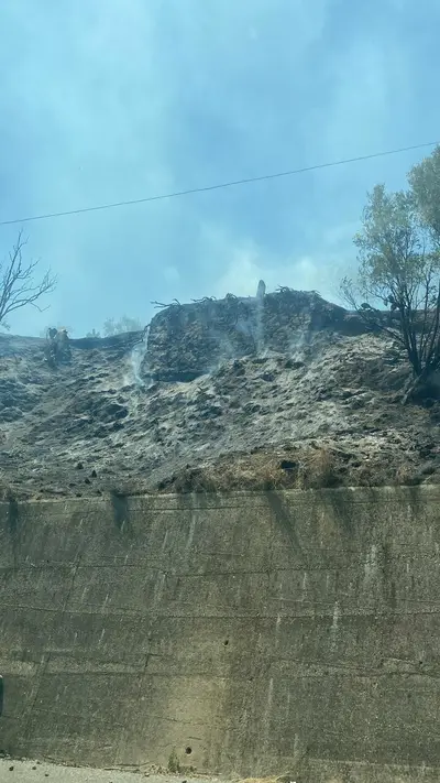 Le fiamme hanno distrutto la vegetazione a Morelli