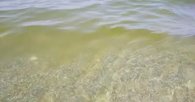 Una chiazza di mare sporco in Calabria