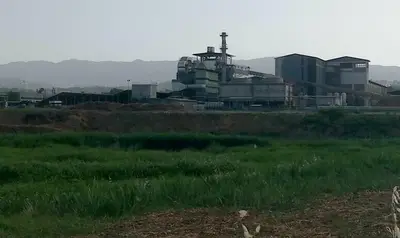 La Legnochimica a Rende