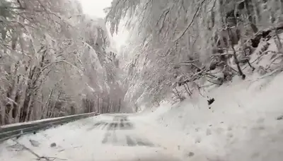 Strade innevate in Sila