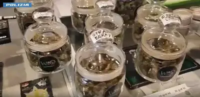 La droga sequestrata