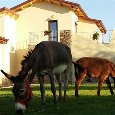 Agriturismo Calabria