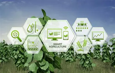 Immagine rappresentativa di agricoltura e sviluppo