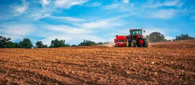 terreni agricoli