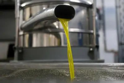 Olio