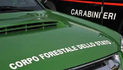 Corpo Forestale dello Stato