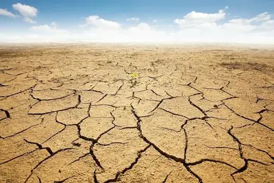 Danni climatici