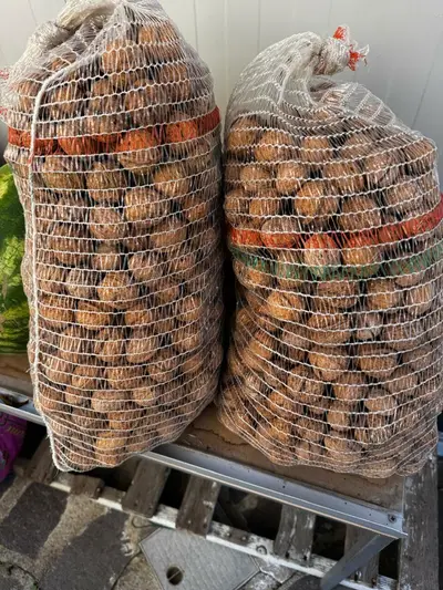 Noci locali del cosentino